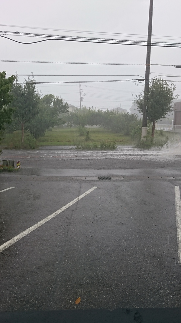 20190720ゲリラ豪雨 (1).JPG