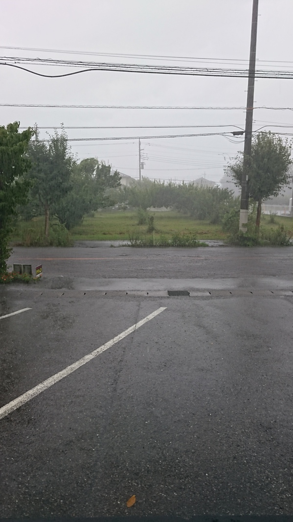 20190720ゲリラ豪雨 (2).JPG