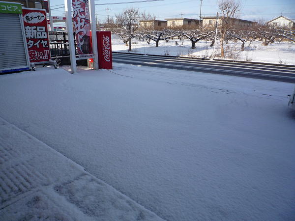 2019 2月10　雪 (1).JPG
