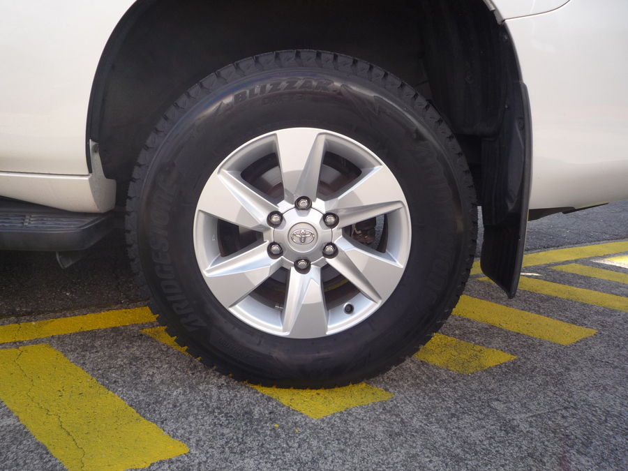 プラド2656517 (1).JPG