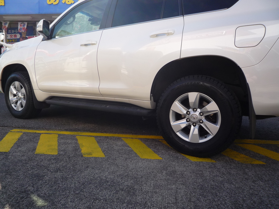 プラド2656517 (2).JPG