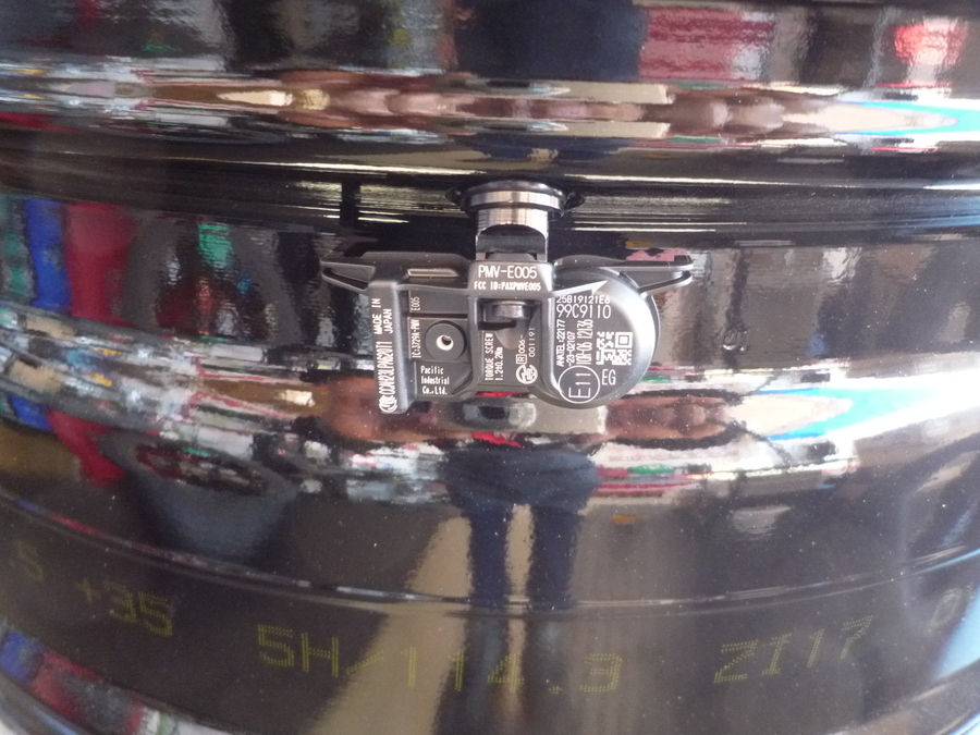 デルモア (1).JPG