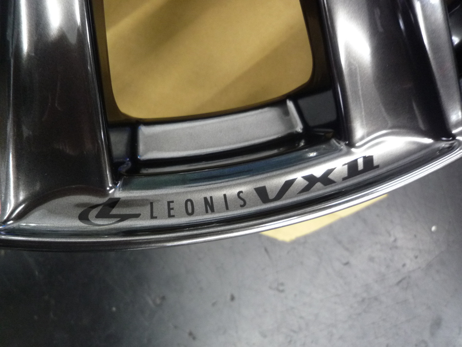 レオニスｖｘ2 (2).JPG